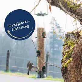 Lyra Pet Sonnenblumenkerne geschält 25 kg