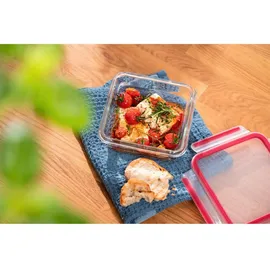 Emsa Clip&Close Frischhaltedose rot 0,8 l