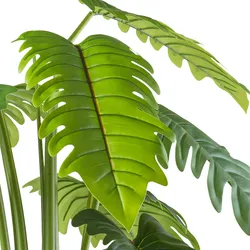 CREATIV green künstliche Pflanze Philodendron xanadu 195cm