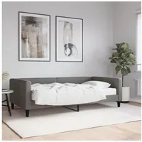 LuxusKollektion Schlafsofa Schlafsofa 2 Sitzer Schlaffunktion 100 x 200 mit Matratze Dunkelgrau grau