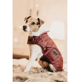 Kentucky Hundejacke Hundemantel Schwarz 28-33 cm