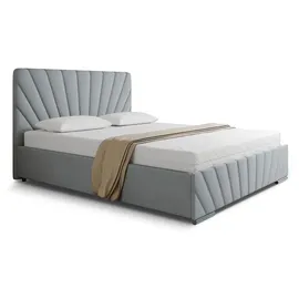 panda möbel Polsterbett RAY - Komfortbett mit Stauraum, Doppelbett, Hellgrau, 160x200cm, Taschenfederkernmatratze, H3 - Hellgrau