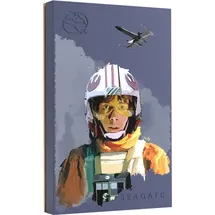 Seagate FireCuda Gaming Luke Skywalker Edition 2 TB USB 3.2 STKL2000412