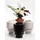 Markslöjd Markslöjd, Akka Vase, 19,5cm Weiß
