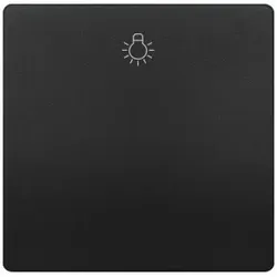Siemens 5TG71410AC20 DELTA style Wippe mit Symbol Licht, anthrazit