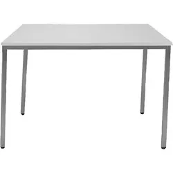 Tisch 1400 x 800mm lichtgrau/lichtgrau