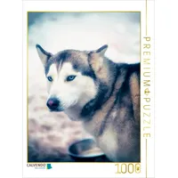 Calvendo Ein Motiv aus dem Kalender Huskies - Artwork
