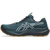 Asics GT-2000 14 TR