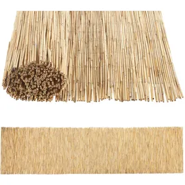 casa.pro Schilfzaun 100 x 500 cm Beige