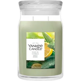 Yankee Candle Sage & Citrus große Kerze 567 g grün