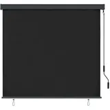 vidaXL Außenrollo 170 x 250 cm Anthrazit