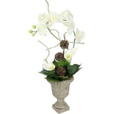 Kunstpflanze Orchidee Orchidee, I.GE.A., Höhe 60 cm weiß