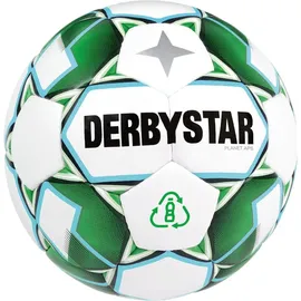 derbystar Planet APS v21, Outdoor-Fußball, weiß - Grün