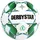 derbystar Planet APS v21, Outdoor-Fußball, weiß - Grün