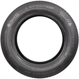 Goodtrip Blueguard AS XL 255/40 R19 100Y