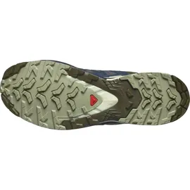 Salomon XA Pro 3D V9 Herren India Ink/Olive Night/Aloe Wash 46 2/3