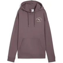Puma Fleece Hoodie Raisin XS