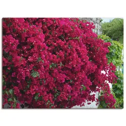 Artland Leinwandbild »Blumen«, Blumen, (1 St.), auf Keilrahmen gespannt Artland Farbe Bild(er): rot