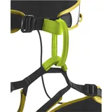 Edelrid Zack Gym II Klettergurt Gold