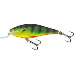 Wobbler Salmo Executor SHR GRÜN|GRÜN|bunt No Size
