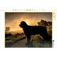 Calvendo Briard im Sonnenaufgang Puzzle