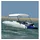 vidaXL Bimini Top 150 x 120 x 110 cm Weiß