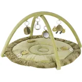 Fehn 3D Activity-Decke Chamäleon