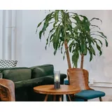 GLOBO Annika Schwarz