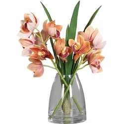 Orchidee Cymbidien