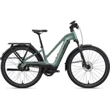 Giant Explore E+ 2 2026 29 Zoll RH 43,5 cm Damen alpine green