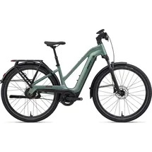 Giant Explore E+ 2 2026 29 Zoll RH 43,5 cm Damen alpine green