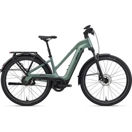 Giant Explore E+ 2 2026 29 Zoll RH 43,5 cm Damen alpine green