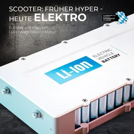 eFlux Lite Six Pro 1000 Watt 40 km/h Schwarz
