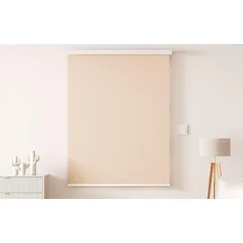 Sonoff MINI-ZBRBS Smart Roller Shutter switch - Weiß