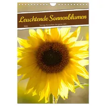 Calvendo Leuchtende Sonnenblumen, sonnige Aussichten das ganze Jahr (Wandkalender 2026 DIN A4 hoch), CALVENDO Monatskalender:
