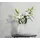 Marburg Blissful Botanics Vliestapete 53 cm x 10 m 0 g weiß 34193