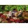 NICI Dinos Dino Fossily 45 cm 48817,