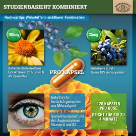 Scheunengut Scheunengut® Adlerauge | 4mg Zeaxanthin, Anthocyanidin & ausgewählte Augenvitamine* 120 St