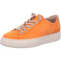 Paul Green 4081