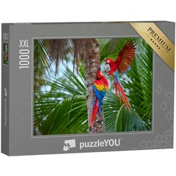 puzzleYOU Puzzle Puzzle 1000 Teile XXL „Amazonas-Papageien an einer Palme“, 1000 Puzzleteile, puzzleYOU-Kollektionen Vögel, Papagei, Tiere in Dschungel & Regenwald