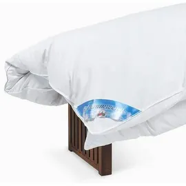 RIBECO Ballonbett Leon, silberweiße Ente Federn 135x200 cm Weiß, extrawarm (51016)