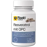 Raab Resveratrol Mit Opc Kapseln 90 St.