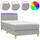 vidaXL Boxspringbett mit Matratze & LED Hellgrau 100x200 cm Stoff