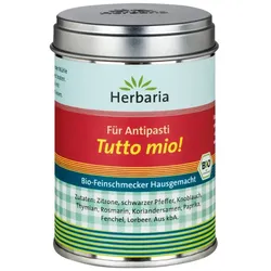 Tutto Mio - Antipastigewürz