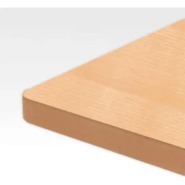 Stier Schreibtisch 501-33 Buche