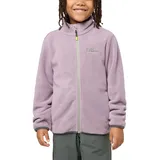 Jack Wolfskin Unisex Kinder Winterstein, Wild Blossom, 152 EU