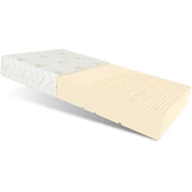 Fdm - Matratze 90x200 cm, Alcamo Latexmatratze 7 Zonen Latex, H2 19 Cm Aloe Vera