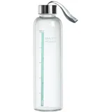 xavax Glasflasche Transparent 0,5 l