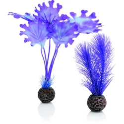 biOrb Seetang Set klein lila (46079)