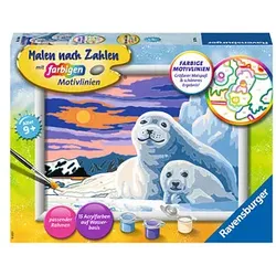 Ravensburger Malen-nach-Zahlen Niedliche Robben mehrfarbig 4005556287796 Ravensburger